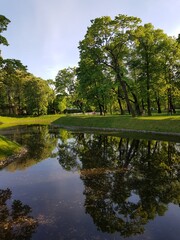On a summer day in the Mikhailovsky Park. Russia, St.Peterburg 