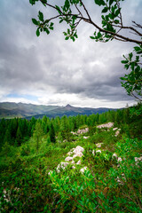 Hiking to the Rotwand Meadows in  South Tyrol.