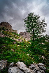 Hiking to the Rotwand Meadows in  South Tyrol.