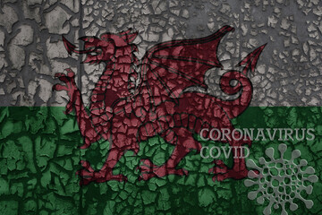 flag of wales on a old metal rusty cracked wall with text coronavirus, covid, and virus picture.