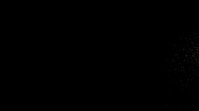 Soccer Player Transitions 4k 