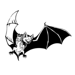 Obraz premium monochrome drawing of a flying bat
