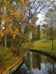 Golden autumn in Pavlovsky park. Russia, Pavlovsk 
