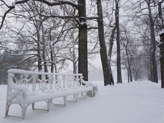 Snow-covered bench in the Catherine Park. Russia, Pushkin 