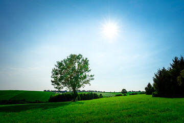 Panorama with Sun and Meadows near Fattendorf in the Bavarian Forst