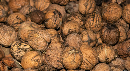 Freshly picked walnuts backgrounds, close up