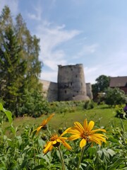 The walls of the old fortress. Russia, Izborsk 