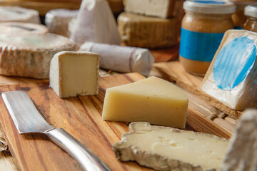 diversos queijos na mesa para degustação