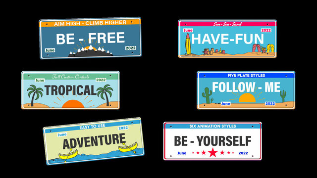 Fun License Plate Titles