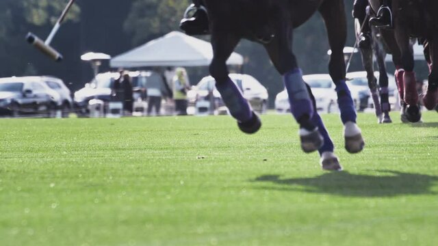 Polo game, slow motion. The players are holding a long-handled wooden mallet. The rider makes a successful hit on the ball, dribbles the ball. Horse riding, luxury game. Horse legs and hooves.
