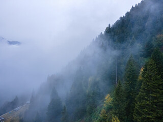 Misty foggy mountain landscape with fir trees forest in rainy weather. Clouds and fog on mountain cover forest valley