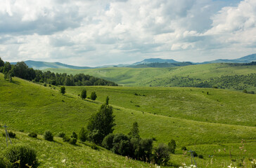 Altay view point of mountains, lake, green meadow, Russian nature