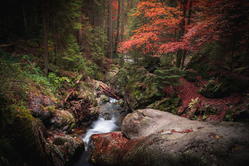 Hochfall Wasserfall Bodenmais Bayerischer Wald
