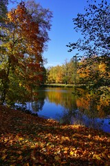 Obraz na płótnie Canvas Amazing autumn landscape - small pond in the autumn park - A beautiful autumn day - colorful autumn