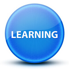 Learning eyeball glossy elegant blue round button abstract