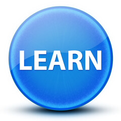 Learn eyeball glossy elegant blue round button abstract