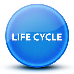 Life Cycle eyeball glossy elegant blue round button abstract