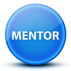 Mentor eyeball glossy elegant blue round button abstract