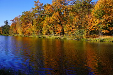 Obraz premium Amazing autumn landscape - small pond in the autumn park - A beautiful autumn day - colorful autumn
