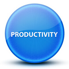 Productivity eyeball glossy elegant blue round button abstract