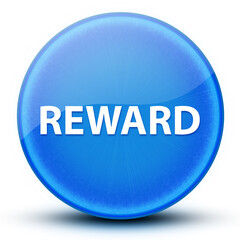 Reward eyeball glossy elegant blue round button abstract
