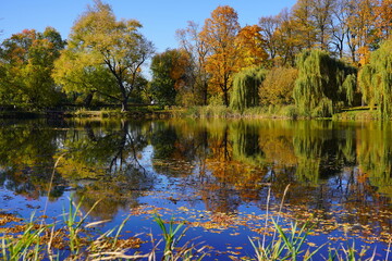Amazing  autumn landscape - small pond in the autumn park - A beautiful autumn day - colorful  autumn