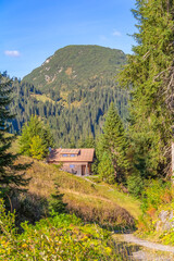 Around Warth in Austria