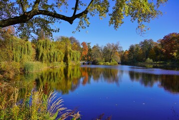 Amazing  autumn landscape - small pond in the autumn park - A beautiful autumn day - colorful  autumn
