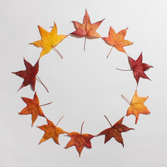 Autumn leaves made round frame against white background. Flat lay table top view minimal nature concept