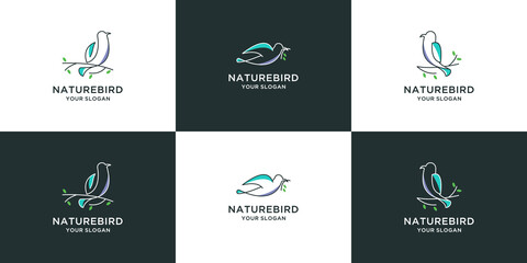 set of nature bird line logo design for branding