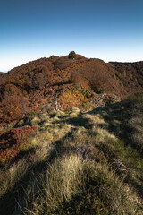 Autumn landscape in department of Ariege in the french Pyrenees mountains