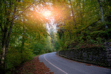 Obraz premium mountain road in autumn