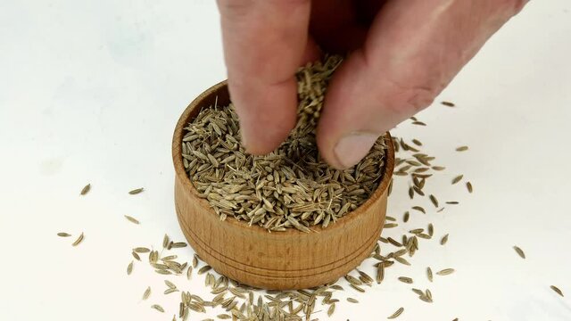 Chef taking chopped dry cumin seeds or zira spices