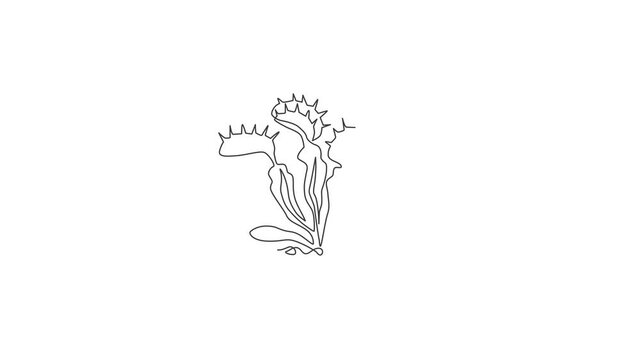 Animation of single one line drawing scary fresh venus flytrap for logo. Decorative of dionaea muscipula concept for home art wall decor poster. Continuous line self draw animated. Full length motion.