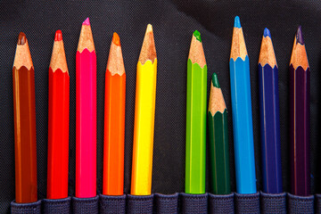 A set of colored pencils for drawing in a pencil case.