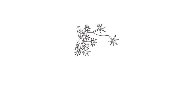Animation of one line drawing of beauty fresh taraxacum for logo. Printable decorative dandelion flower for home decor wall art poster print. Continuous line self draw animated. Full length motion.