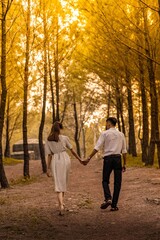 Fototapeta premium Осенняя прогулка