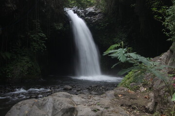 Naklejka na ściany i meble waterfall in the jungle