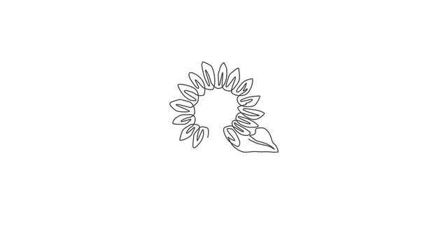 Animated self drawing of one continuous line draw beauty fresh sunflower for park logo. Printable poster decorative helianthus spring flower concept home wall decor. Full length single line animation.