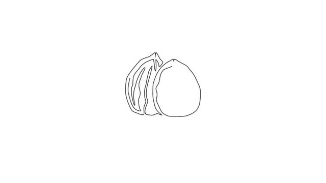 Animated self drawing of one continuous line draw whole healthy organic walnut food for plantation logo identity. Fresh nutshell concept for healthy seed icon. Full length single line animation.