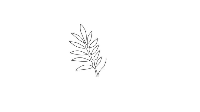 Animated self drawing of single continuous line draw tropical leaves plant. Printable poster decorative houseplant concept for home wall decor wallpaper ornament. Full length one line animation.