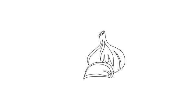 Animated self drawing of one continuous line draw whole healthy organic garlic for plantation logo identity. Fresh cuisine seasoning concept for vegetable icon. Full length single line animation.