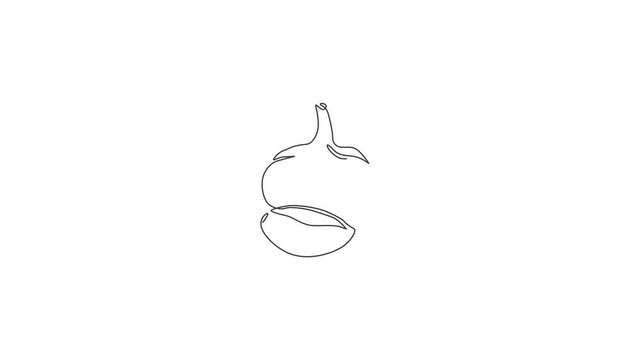 Animation of one single line drawing of whole healthy organic garlic for farm logo identity. Fresh food seasoning concept for vegetable icon. Continuous line self draw animated. Full length motion.