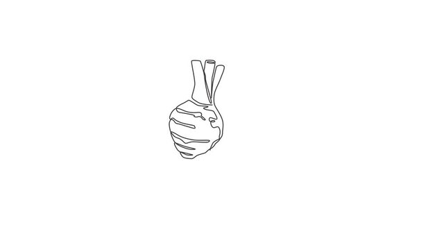 Animated self drawing of single continuous line draw whole healthy organic taro for farm logo identity. Fresh tropical plant edible corm concept for root vegetable icon. Full length one line animation