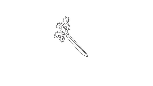 Animated self drawing of single continuous line draw bunch healthy organic green celery for farm logo identity. Fresh marshland plant concept for vegetable icon. Full length one line animation.
