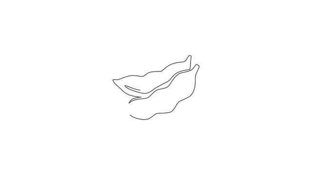 Animated self drawing of single continuous line draw whole healthy organic green edamame for farm logo identity. Fresh Japanese pea concept for vegetable icon. Full length one line animation.