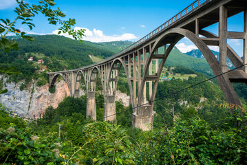Fototapeta na wymiar Underneath Tara Canyon Bridge,Durmitor national Park,Montenegro,Eastern Europe.