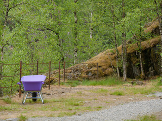 violet wheelbarrow on norwegian nature