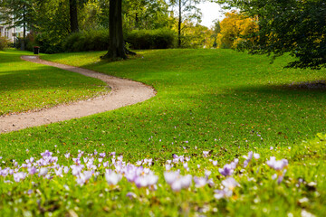Obraz premium Picturesque view from Kenaupark, an urban park in Haarlem city of the Netherlands
