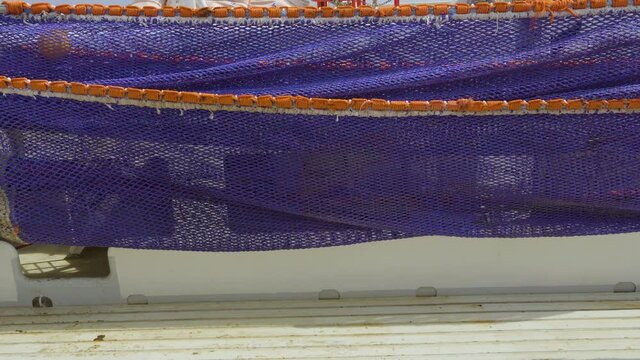 Removing a trawl on a fishing vessel. Close-up. The violet net is hauled out across the fishing deck.